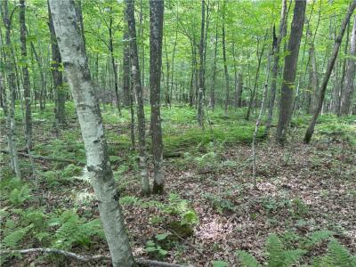 0 28 7/16-28 9/16 Street, Birchwood, 威斯康辛州 54817, 美国