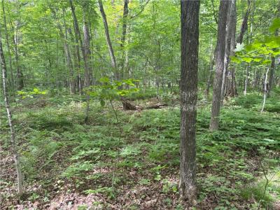 0 28 7/16-28 9/16 Street, Birchwood, 威斯康辛州 54817, 美国