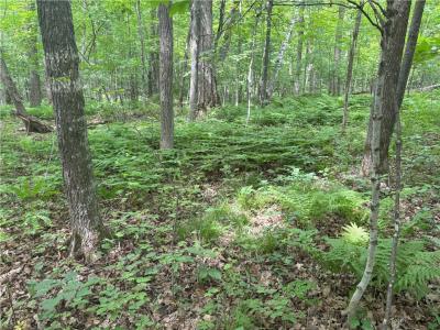 0 28 7/16-28 9/16 Street, Birchwood, 威斯康辛州 54817, 美国