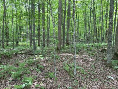 0 29 1/2 Avenue Street, Birchwood, Wisconsin 54817, États-Unis