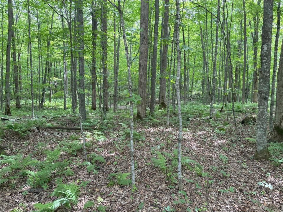 0 29 1/2 Avenue Street, Birchwood, Wisconsin 54817, États-Unis