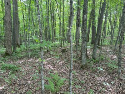 0 29 1/2 Avenue Street, Birchwood, Wisconsin 54817, États-Unis