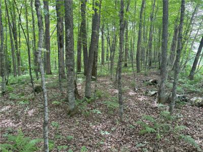 0 29 1/2 Avenue Street, Birchwood, Wisconsin 54817, États-Unis