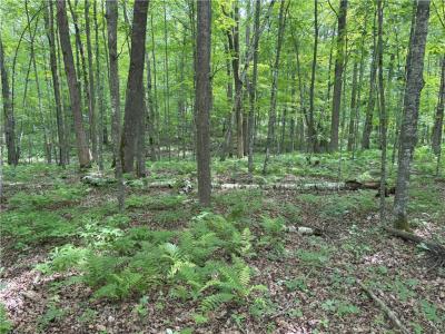 0 29 1/2 Avenue Street, Birchwood, Wisconsin 54817, États-Unis