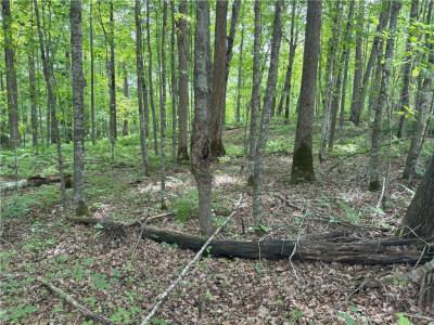 0 29 1/2 Avenue Street, Birchwood, Wisconsin 54817, États-Unis