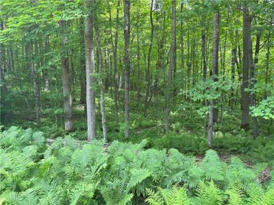 0 29 1/2 Avenue Street, Birchwood, Wisconsin 54817, États-Unis