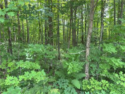 0 29 1/2 Avenue Street, Birchwood, Wisconsin 54817, États-Unis