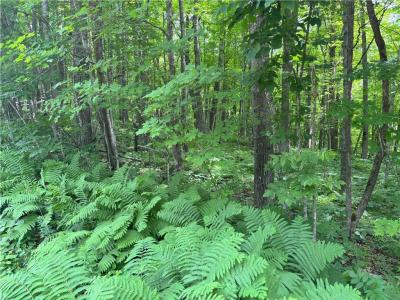 0 29 1/2 Avenue Street, Birchwood, Wisconsin 54817, États-Unis