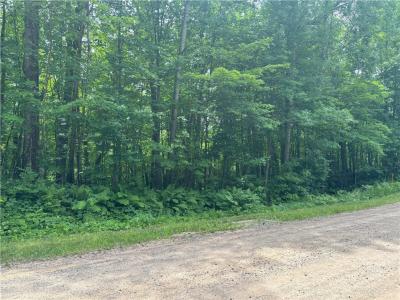 0 29 1/2 Avenue Street, Birchwood, Wisconsin 54817, États-Unis