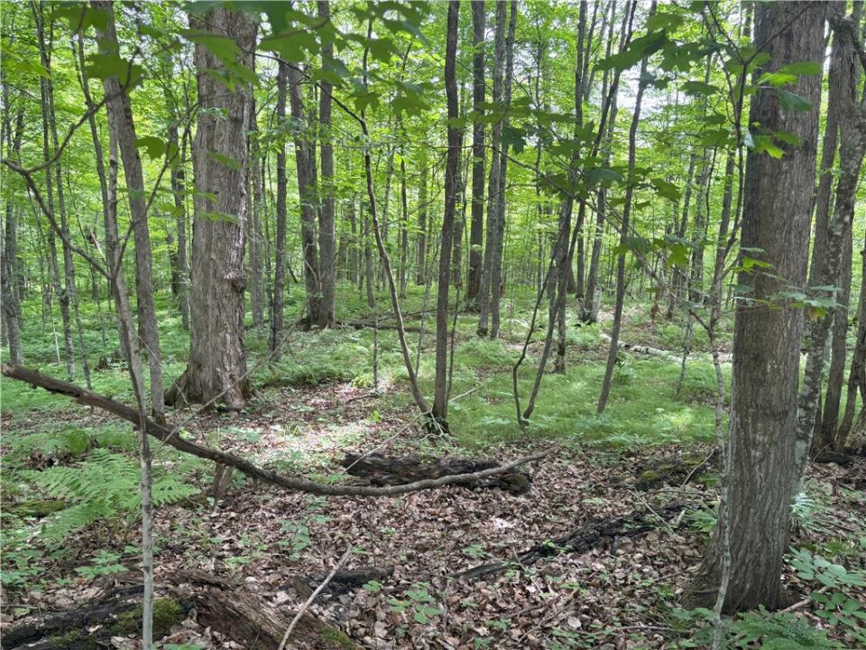 0 29 1/2 Avenue Street, Birchwood, Wisconsin 54817, États-Unis