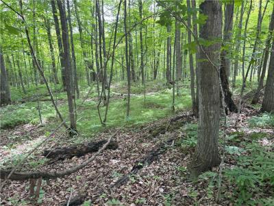 0 29 1/2 Avenue Street, Birchwood, Wisconsin 54817, États-Unis