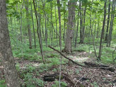 0 29 1/2 Avenue Street, Birchwood, Wisconsin 54817, États-Unis