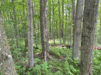 0 29 1/2 Avenue Street, Birchwood, Wisconsin 54817, États-Unis