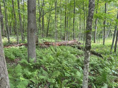 0 29 1/2 Avenue Street, Birchwood, Wisconsin 54817, États-Unis