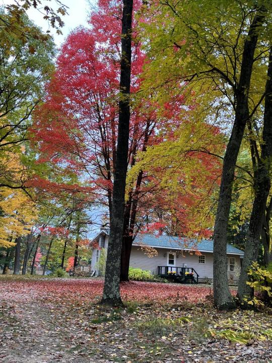 17924 Round Lake Road, Wellston, 密歇根州 49689, 美国