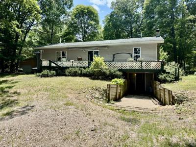 17924 Round Lake Road, Wellston, 密歇根州 49689, 美国