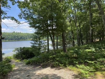 17924 Round Lake Road, Wellston, 密歇根州 49689, 美国