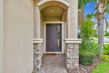 30415 Palmer Oak Drive, Wesley Chapel, Florida 33543, USA