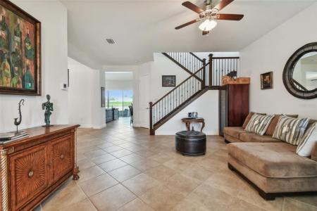 30415 Palmer Oak Drive, Wesley Chapel, Florida 33543, USA