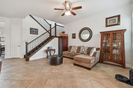 30415 Palmer Oak Drive, Wesley Chapel, Florida 33543, USA