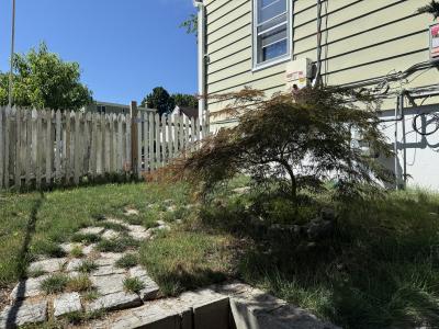 30 Ellsworth Ave, New Haven, Connecticut 06511, Estados Unidos