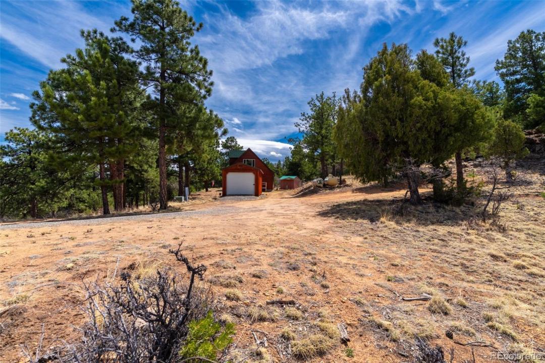 1136 Bird Point Drive, Cotopaxi, קולורדו 81223, ארצות הברית של אמריקה