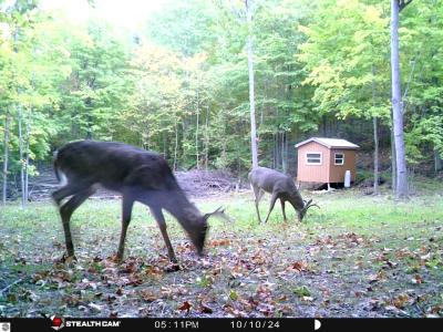 2700 Bucky Moose Trail, Curran, Michigan 48728, États-Unis