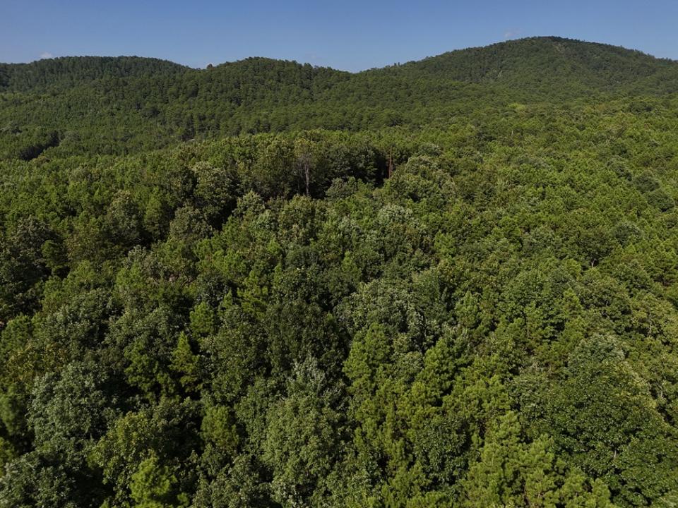 Lot 6 Polk Road 78, Mena, Arkansas 71953, Stati Uniti