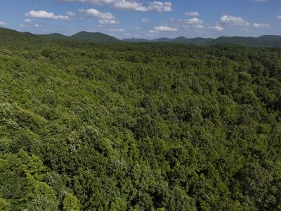 Lot 6 Polk Road 78, Mena, Arkansas 71953, Stati Uniti