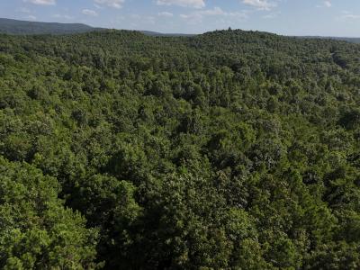 Lot 6 Polk Road 78, Mena, Arkansas 71953, Stati Uniti