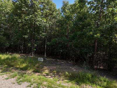 Lot 6 Polk Road 78, Mena, Arkansas 71953, Stati Uniti