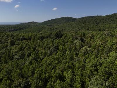 Lot 8 Polk Road 78, Mena, Arkansas 71953, USA