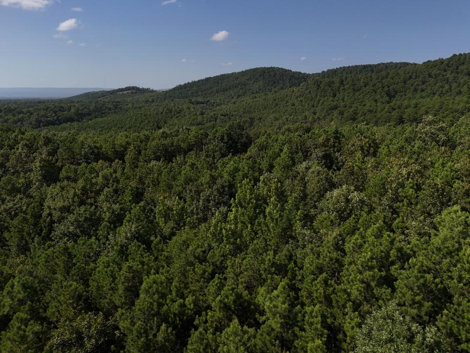 Lot 8 Polk Road 78, Mena, Arkansas 71953, Stati Uniti