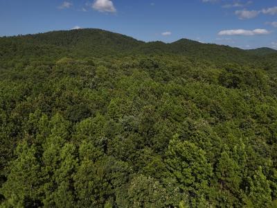 Lot 8 Polk Road 78, Mena, Arkansas 71953, Stati Uniti