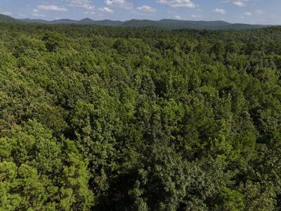Lot 8 Polk Road 78, Mena, Arkansas 71953, Stati Uniti