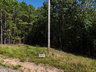 Lot 8 Polk Road 78, Mena, Arkansas 71953, Stati Uniti