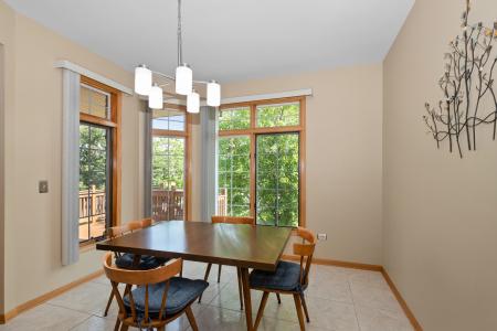16101 Julia Courtyard, Tinley Park, Illinois 60477, HOA KỲ
