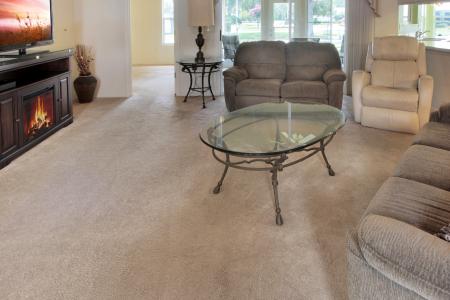 2413 Baywater Road, Tavares, Florida 32778, USA