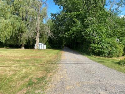 1270 County Route 12, Schroeppel, Nueva York 13132, Estados Unidos