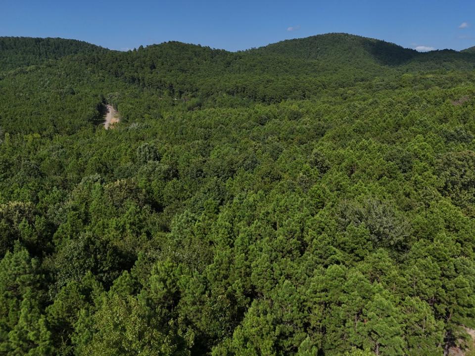 Lot 10 Polk Road 78, Mena, Arkansas 71953, Stati Uniti