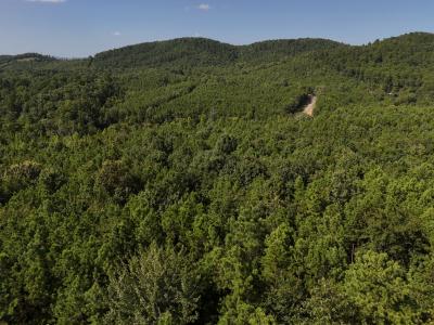 Lot 10 Polk Road 78, Mena, Arkansas 71953, Stati Uniti