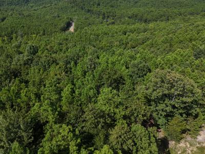 Lot 10 Polk Road 78, Mena, Arkansas 71953, Stati Uniti