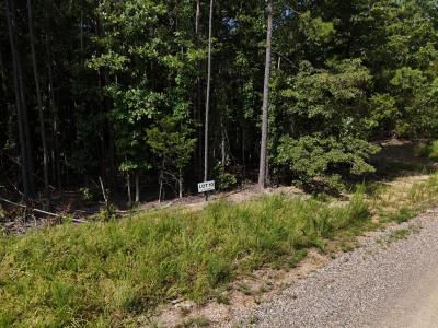 Lot 10 Polk Road 78, Mena, Arkansas 71953, Stati Uniti