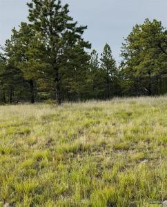 TBD Memorial Road, Hot Springs, South Dakota 57747, USA