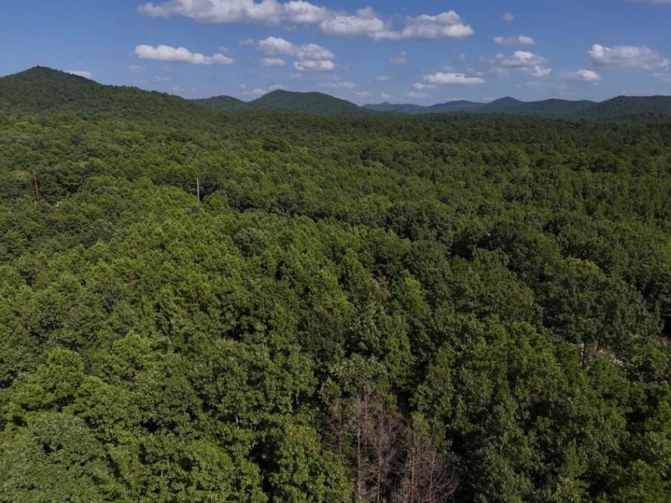 Lot 11 Polk Road 78, Mena, Arkansas 71953, Stati Uniti