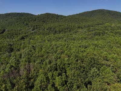 Lot 11 Polk Road 78, Mena, Arkansas 71953, Stati Uniti