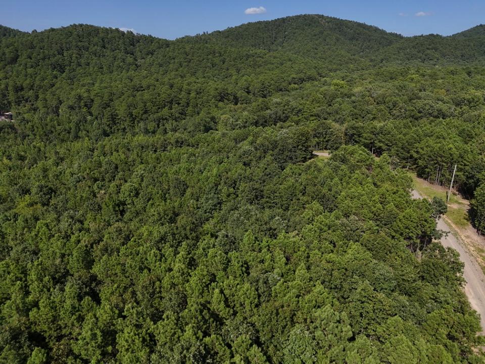 Lot 12 Polk Road 78, Mena, Arkansas 71953, Stati Uniti