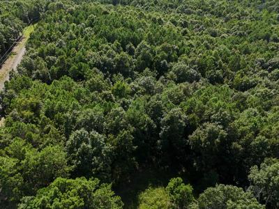 Lot 12 Polk Road 78, Mena, Arkansas 71953, Stati Uniti