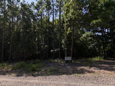 Lot 12 Polk Road 78, Mena, Arkansas 71953, Stati Uniti