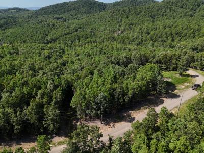 Lot 12 Polk Road 78, Mena, Arkansas 71953, Stati Uniti